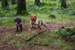 Dryrobe Dog Robe - Camo/Pink -Cheap Surfboards Store dog dryrobe camo lifestyle 232