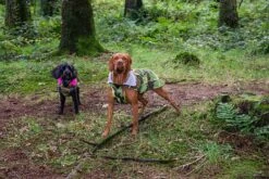 Dryrobe Dog Robe - Camo/Grey -Cheap Surfboards Store dog dryrobe camo lifestyle 232 2024x2024