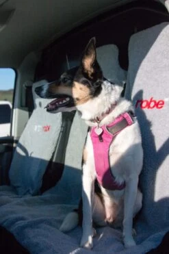 Dryrobe Double Car Seat Cover - Grey -Cheap Surfboards Store doubleseatcover 1 2024x2024 1