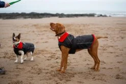 Dryrobe Dog Robe - Black / Red -Cheap Surfboards Store landing slxlxxlblackreddog dryrobe 134 2024x2024
