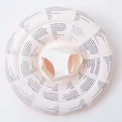 Sunnylife Baby Seat Sonny The Sea Creature - Neon Orange -Cheap Surfboards Store s3lbasst 5 1200x