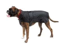 Dryrobe Dog Robe - Black / Red -Cheap Surfboards Store studio dogrobe large 008 2024x2024